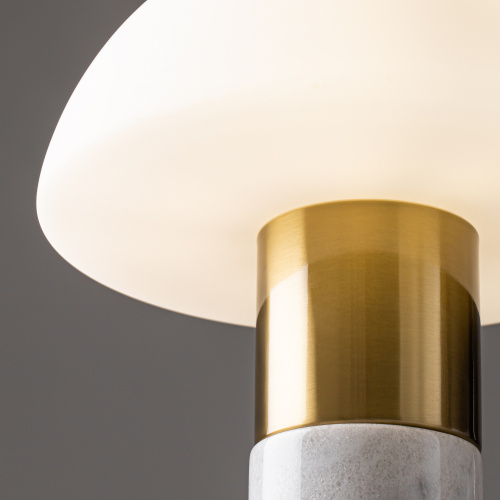 Настольный светильник Freya FR5285TL-01BS фото 7